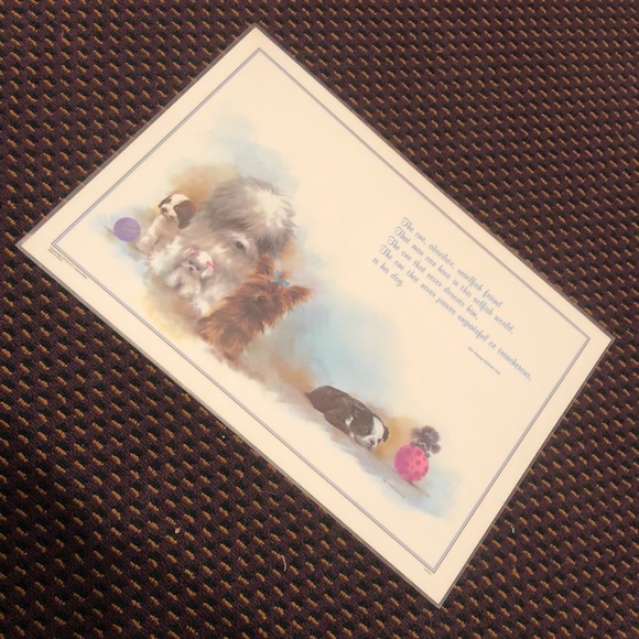 NWT Reversible Pet Bowl Dog food or water Plasticized Floor Placemat! - Picture 3 of 16